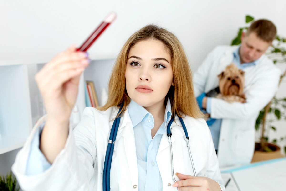 Treatment of autoimmune rheumatic diseases  and it’s stages